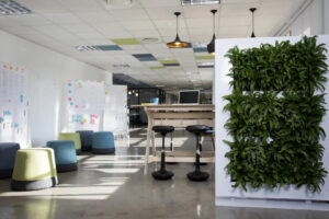 Working area at The Campus Bryanston